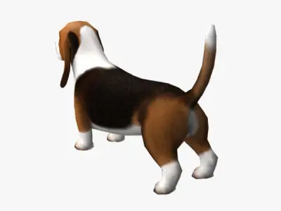Basset Hound Low-poly 3D model