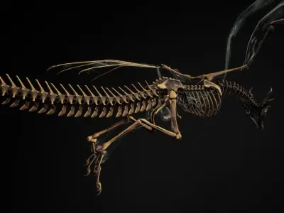 Dragon 11 Wyvern UE4 Low-poly 3D model