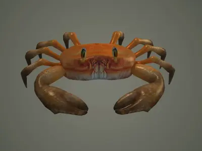 crab animal 3d model texture arthropod character  3D model