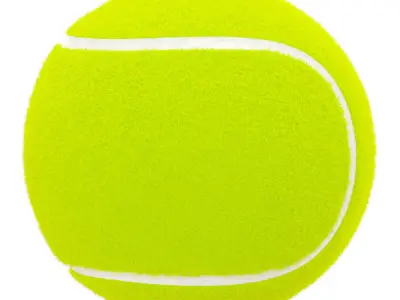 Tenis Ball 3D model buy