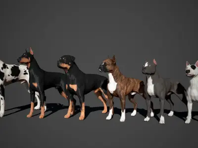 Guard Dog Pack Low-poly 3D model