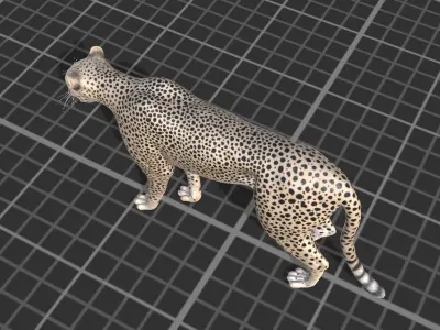 Cheetah Low-poly 3D model order