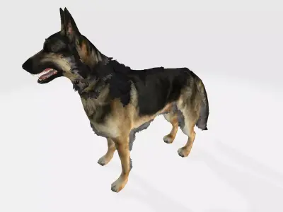 German shepherd 3D model