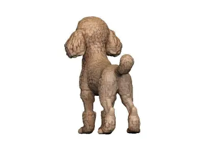 Poodle Low-poly 3D model