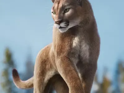 Puma Animated 3D model