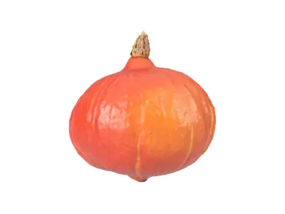 Photorealistic Hokkaido Pumpkin 3D Scan 1 3D model