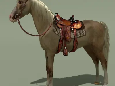 Cowboy Horse Palomino 3D model