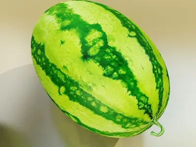 Watermelon High Res Texture 3D model