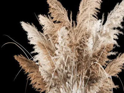 Bouquet Of Dry Reeds In A Black Metal Pot 3D model