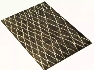restoration hardware Talaa rug 3D model