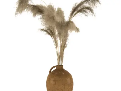 dry plants-pampas in jars of clay 3D model