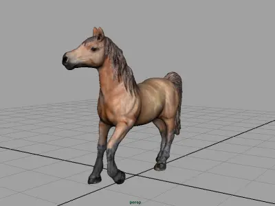 HORSE Low-poly 3D model 5