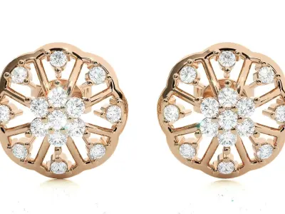 Light wt Women Diamond Earrings  3D print model