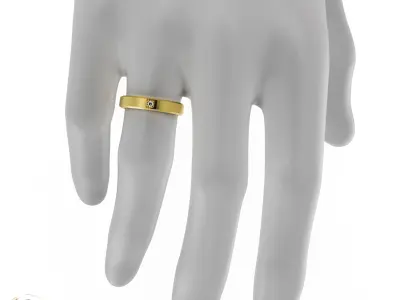 Wedding ring set 3D print model