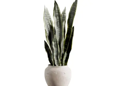  indoor plant 518 3D model