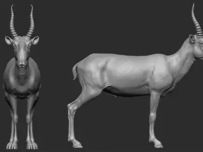 Saiga - TPose 3D model