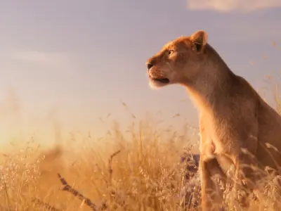 Female Lion Animated VFX Grace   3D model