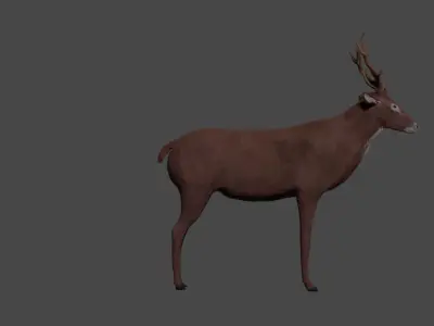 Deer - rigged - painted 3D model