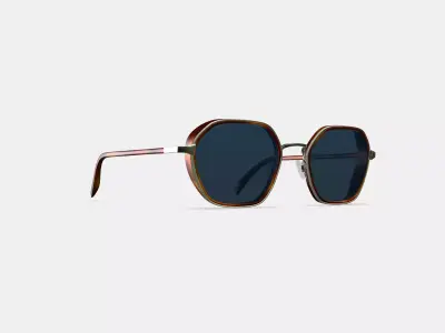 Levins Sunglasses in Rye Tortoise Matte with Antique Silver Low-poly 3D model