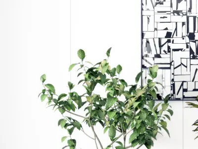 Modern Plant Potting 3D model