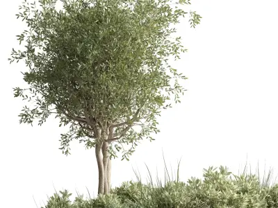 Box Plants on Stand collection of houseplants indoor metal vase 3D model