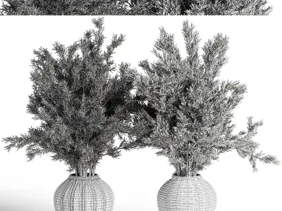 Indoor Plant Set 19 3D model