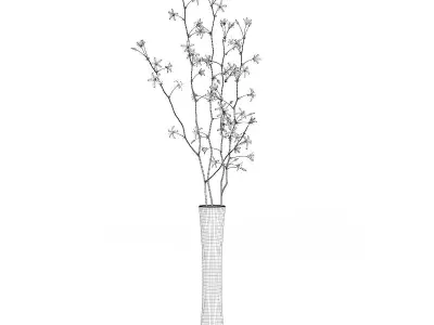 Flowering Tree Twigs in Glass Vase 3D model