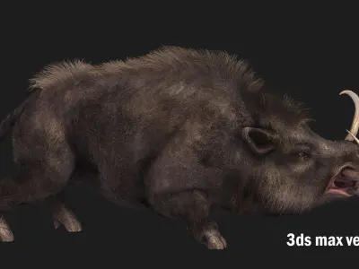 boar pig beast  Low-poly 3D model