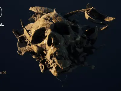 Broken Skull with Spiderwebs and Cobwebs for Unreal  Engine 5 3D model