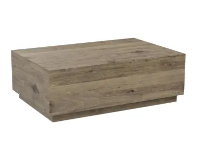 Classic Home Nyla Coffee Table 3D model