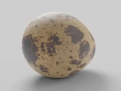 Quail Egg Low-poly 3D model
