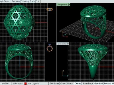wier ring 3D print model