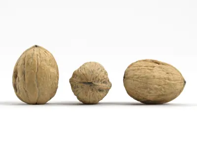 Three Different Photorealistic Walnut 3D Scans 3D model