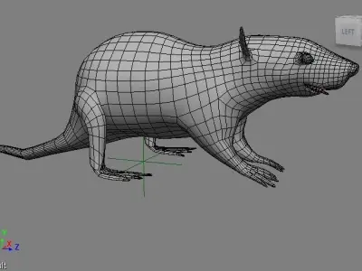 RAT LOWPOLY Low-poly 3D model