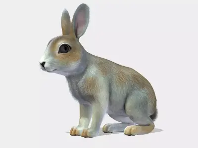 Bunny rabbit Low-poly 3D model purchase