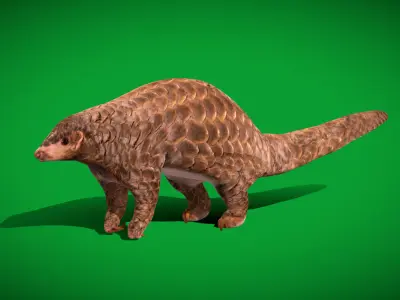 Pangolins Scaly Anteater Low-poly 3D model