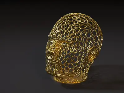 Head voronoi 2 3D print model