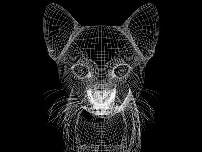 TCAT-001 Rigged Cat 3D model