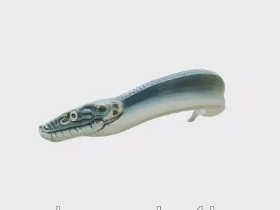 Sea Serpent with Elongated Body 3D Model Low-poly 3D model