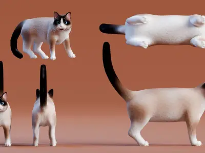 Low poly - Stylized cats - Snowshoe Cat Low-poly 3D model