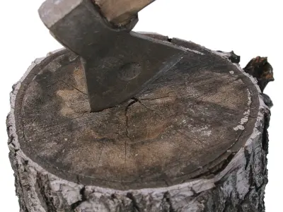 Stump with an ax 3D model