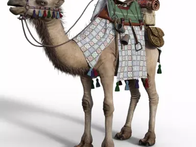 Camel With Package - Rigged 3D model