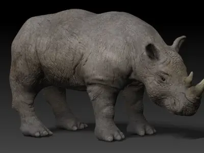 Rigged Rhino Low-poly 3D model