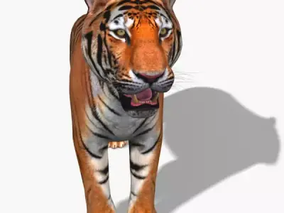 Awesome Tiger - 3d model 3D model