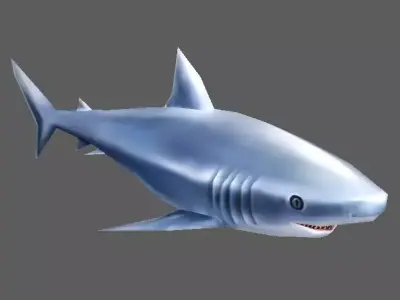 Shark Low-poly 3D model