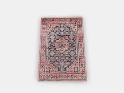ISGRAS Rug low pile 1 3D model