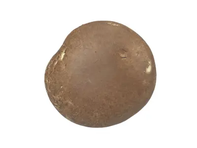 Photorealistic Mushroom 3D Scan 3D model