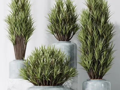 HQ Plants Yucca Elephantipes Gigantea Vase Set05 3D model