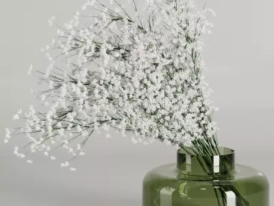 Baby Breath Bouquet24 3D model