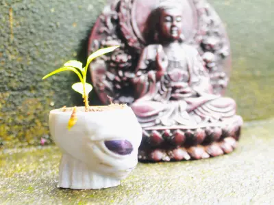 Alien head Halloween decoration plant pot flowerpot and bowl 3D print model